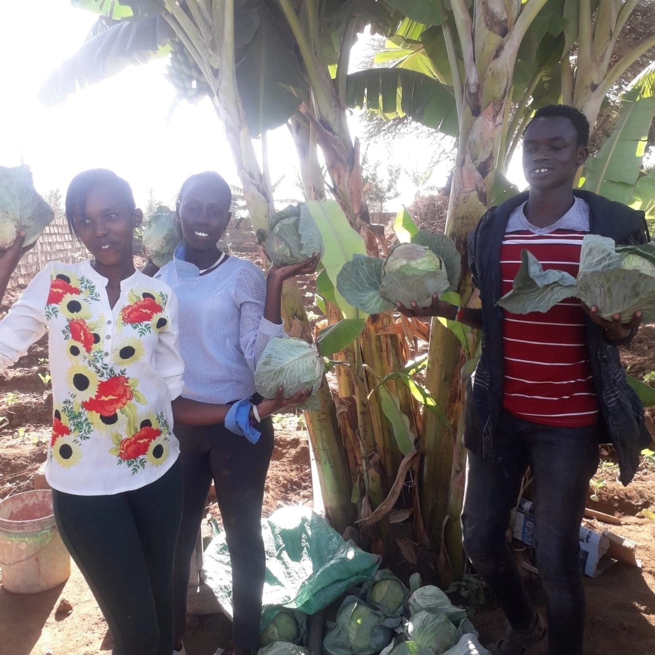 Four men posing near banana plants in a sunny outdoor setting.